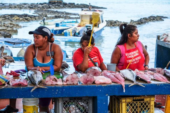 Puerto Ayora, Santa Cruz, fish market