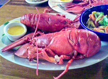 Twin Lobsters